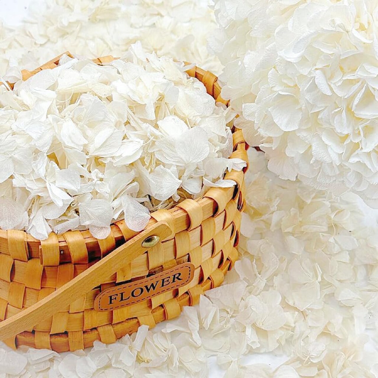 1250+ Real Dried Ivory White Hydrangea Petals – 0.88 oz Preserved Natural Flower Petals for Weddings, Party Confetti, Table Centerpieces, and Crafts